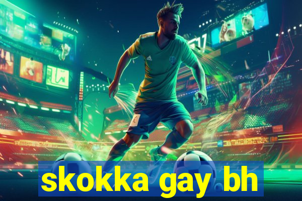 skokka gay bh